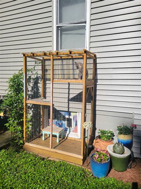 How To Build A Catio Cat Patio Enclosure Refresh Living