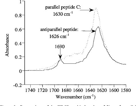 Beta Sheet Antiparallel Vs Parallel