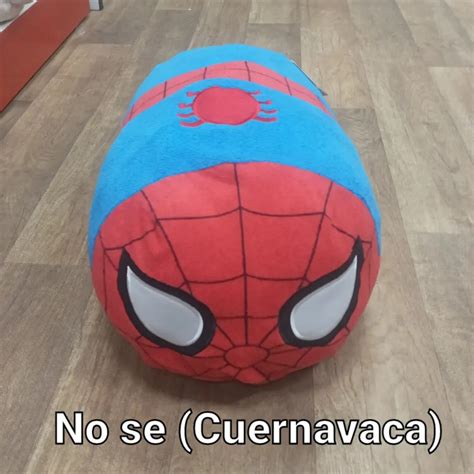 Top 77+ imagen no meme spiderman - Abzlocal.mx