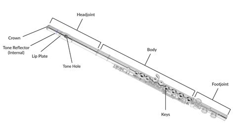 Parts Of A Flute Diagram