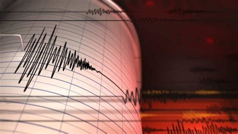 Earthquake Tremors Felt In Many Parts Of Punjab Haryana J K And