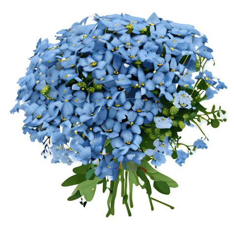 Forget Me Not Flower Bouquet | Best Flower Site