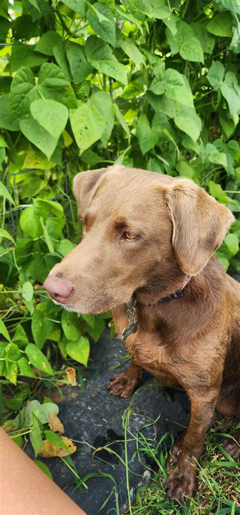 Octagon G Farm | Maryville TN