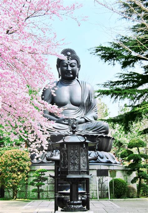 Estatua De Budha Y árbol De Sakura Foto de archivo Imagen de figura