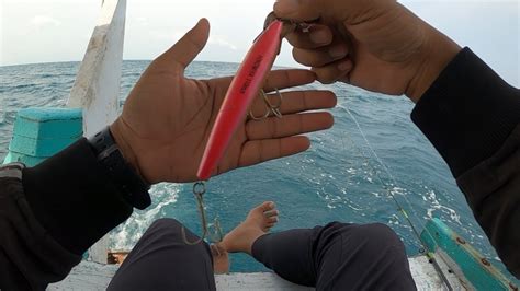 Mancing Di Tengah Laut Pakai Umpan Ini Jangan Sampai Pakai Senar