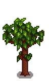 stardew valley wiki