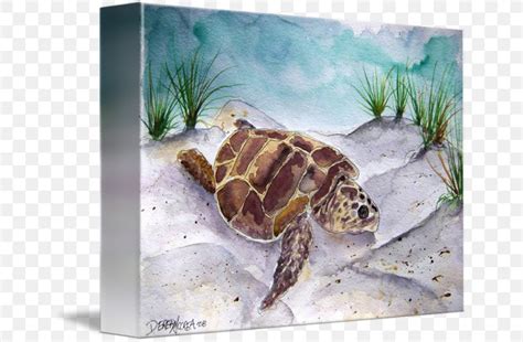 Loggerhead Sea Turtle Watercolor Painting, PNG, 650x538px, Loggerhead Sea Turtle, Art, Art ...