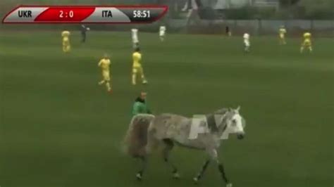 Un Caballo Y Dos Perros Invaden Un Campo De Fútbol Y Siembran El