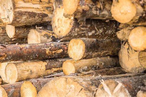 Pilha De Madeira Formando Uma Parede Problemas De Ecologia E