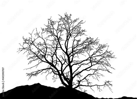 Realistic tree silhouette (Vector illustration). Stock Vector | Adobe Stock