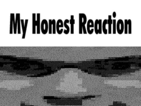 My Honest Reaction My Honest Reaction Meme My Honest Reaction My