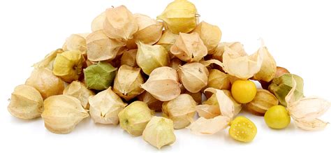 Cape Gooseberries Information, Recipes and Facts