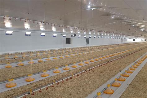 Broiler Floor Systems Dynamic Automation