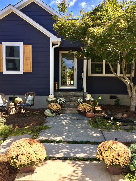 dark blue house 8
