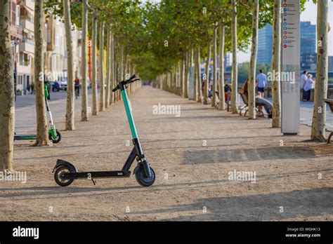 Electric scooters park on promenade riverside of Rhine River in ...