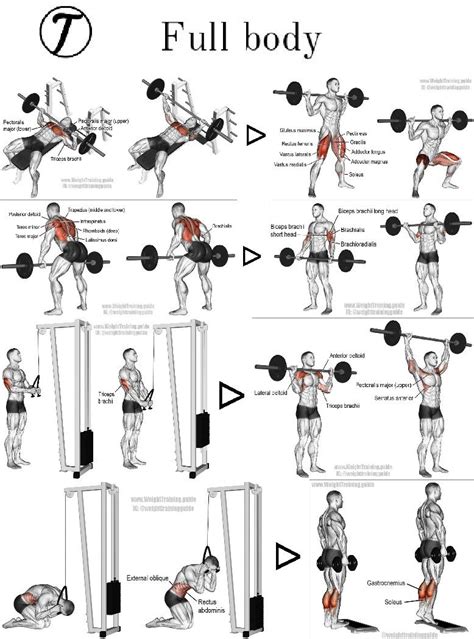 Full Body Gym Workout Chart Workout Plan Gym Workout Chart