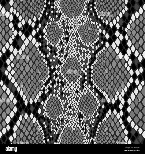 Seamless Snake Skin Pattern Vector Exotic African Animal Texture Stock