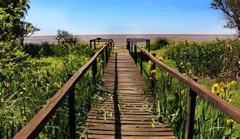 Punta Indio Atrae Miles De Turistas Que Buscan Descubrir La Reserva De