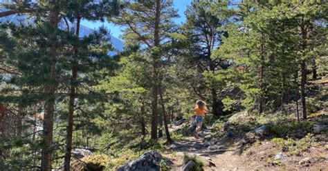 Hiking to Skimhytta - Lom National Park Village - Mountain tour in Lom, Lom - Jotunheimen