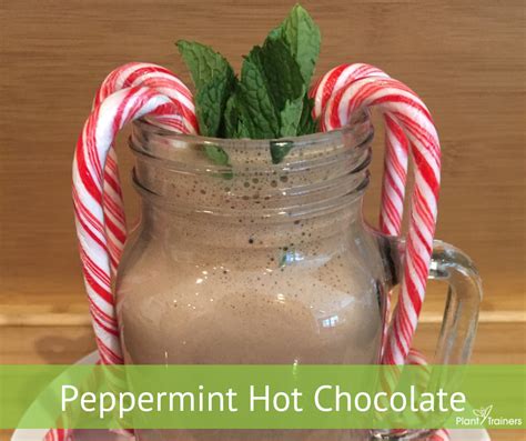 Peppermint Hot Chocolate Plant Trainers