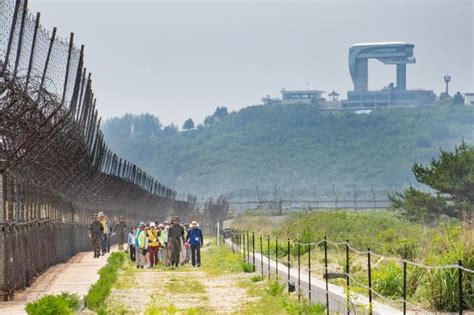 평화여행 떠나볼까강원 Dmz평화의 길 9월 개방 국민일보