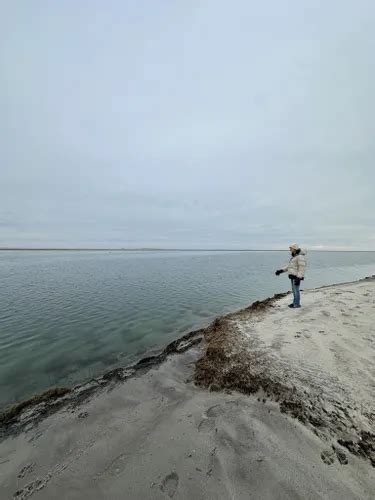 Best Hikes And Trails In Monomoy National Wildlife Refuge Alltrails