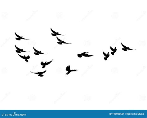 Silhouette Of A Flock Of Birds Black Contours Of Flying Birds Vector