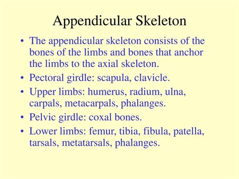 Powerpoint Presentation To Accompany Holes Human Anatomy And