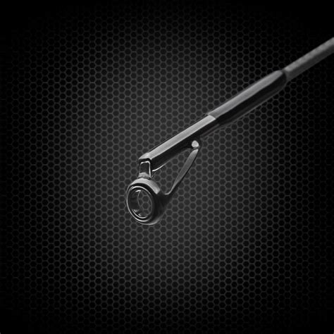 Black Swan - Favorite Fishing