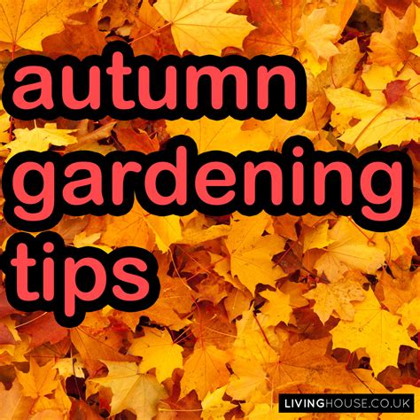 Autumn Gardening Tips - LivinghouseLivinghouse