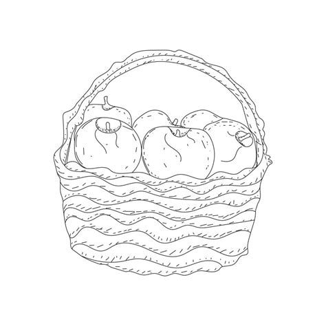 illustration of the basket full of fruits in line art mode, apple basket art 10691113 Vector Art ...