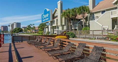 15 Top Pet Friendly Hotels in Tampa, FL: Explore with Paws