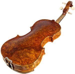 Best 5 Professional Violins & Their Brands In 2022 Reviews