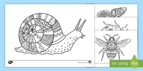 Feuilles de coloriage Les petites bêtes teacher made