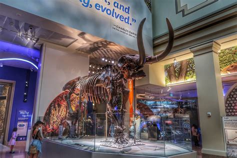 Smithsonian Museum Of Natural History Washington D C — Attitudedriven Adventure