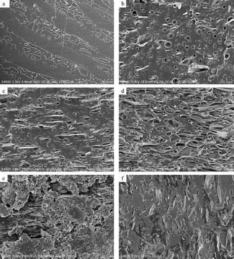 Morphology Of The Fracture Surfaces Of Neat Pla And The Pla Talc