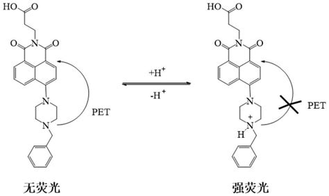 一种1 8 萘二甲酰亚胺衍生物及应用的制作方法