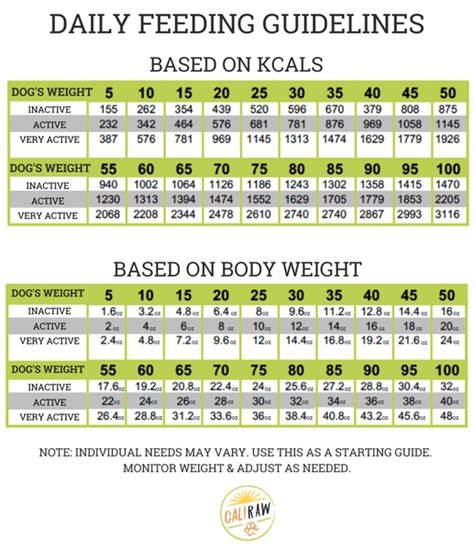 Raw Dog Food Feeding Chart & Body Score Chart