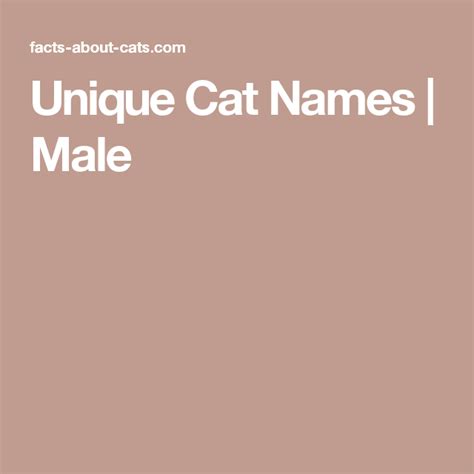 Unique Cat Names | Male | Unique cat names, Cat names, Unique cats