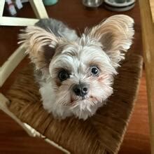 Mary A B Nude OnlyFans Leaks Fapopedia