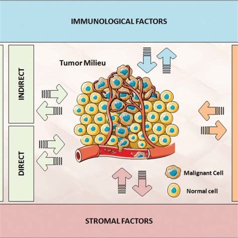 Pdf Regulation Of Tumor Growth And Metastasis The Role Of Tumor