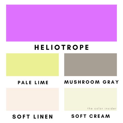 Heliotrope - Color Insider