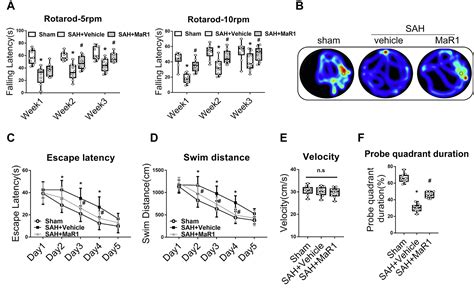 Maresin Activates Lgr To Alleviate Neuroinflammation Via The Creb