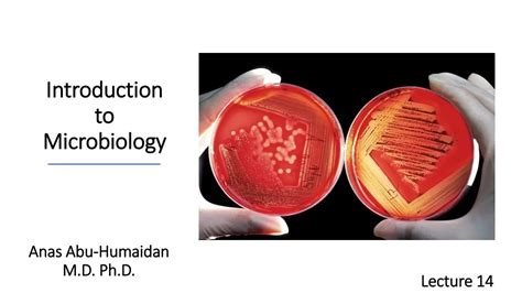 PPT Introduction To Microbiology PowerPoint Presentation Free