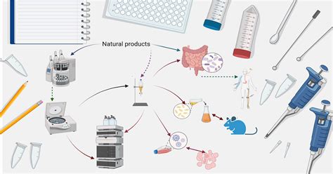 Applied Sciences Special Issues