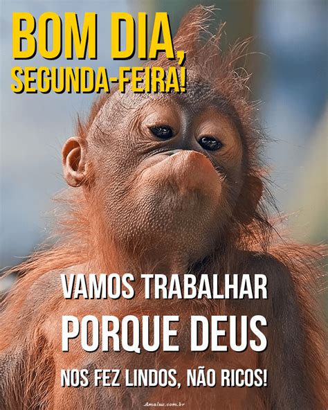 Bom Dia Segunda Feira Engra Ada Frases Para Animar A Semana