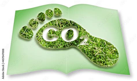 Carbon Footprint Concept Image With Co2 Text Against Footprint In Grass