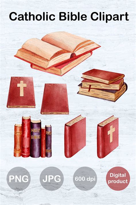 Nrsv Catholic Edition T Bible White Leathersoft Comfort Print