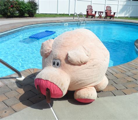 Nude Sunbathing Outdoor Decor Fun Piggy Bank