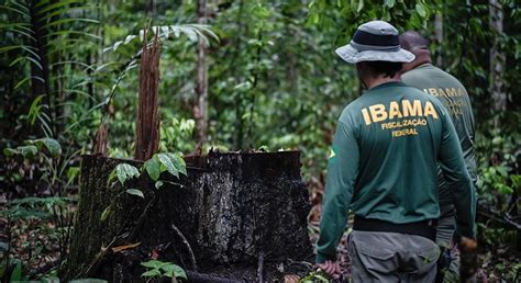 Brasil retoma política ambiental forte atuação do Ibama CONDSEF